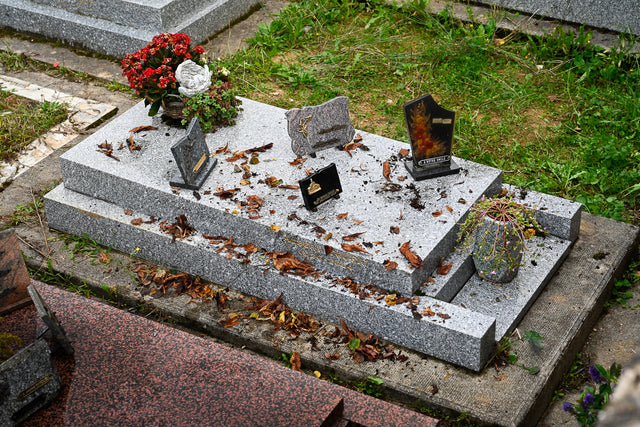 État initial de la sépulture avant intervention